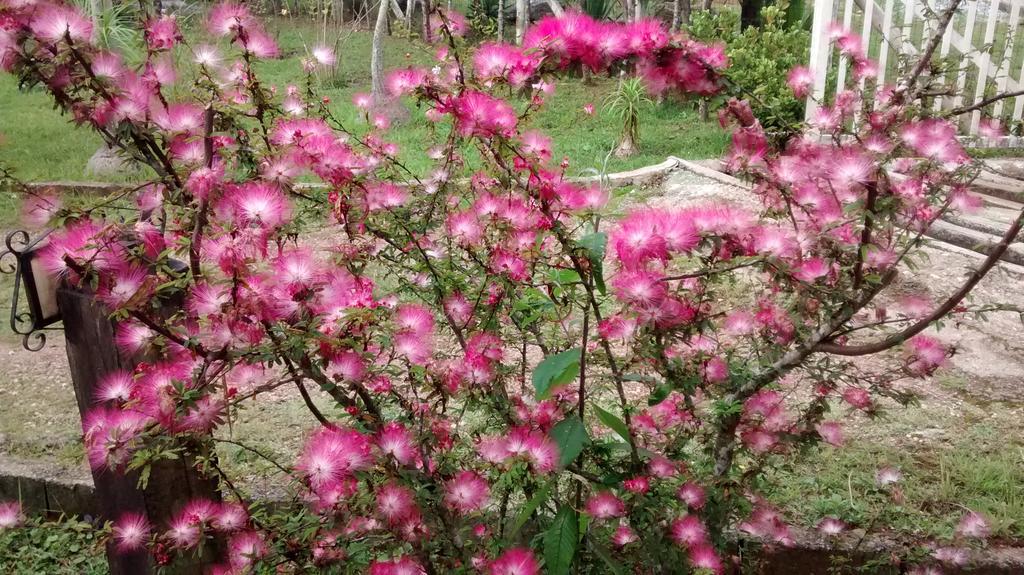 Do Campo 3* Lavras Novas