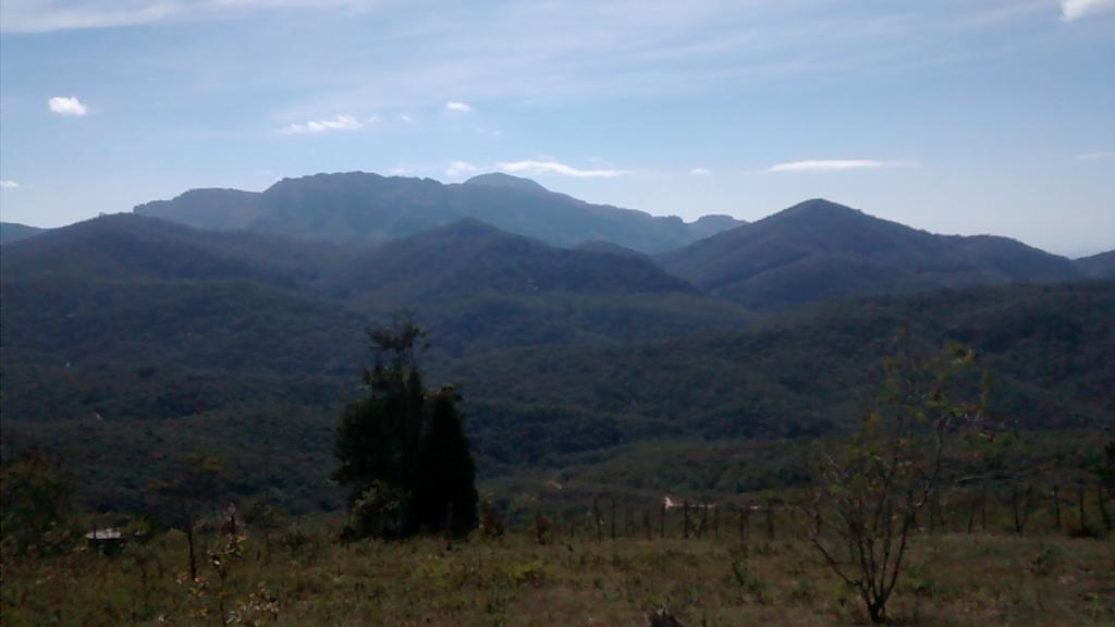 Do Campo