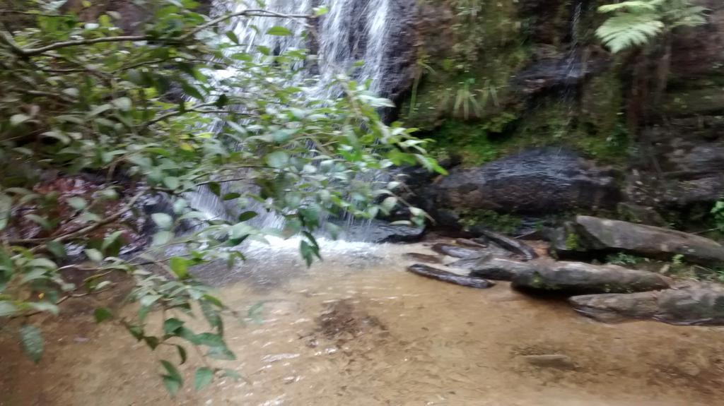 Inn Do Campo 3*